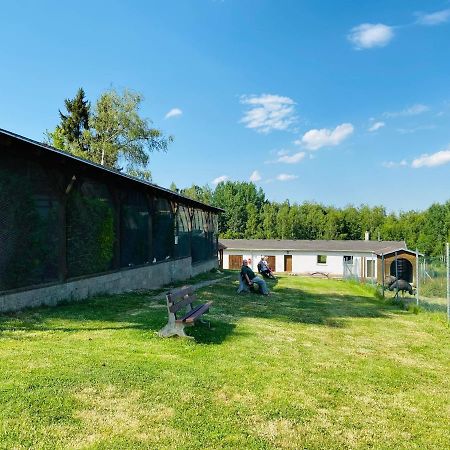 Garni Hotel Pyramida Cheb Kültér fotó